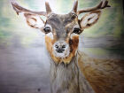 A Deer Appeared (Watercolour and pastels)<br />20x16