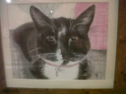 Kirstie&#039;s Cat (Watercolour and pastels)