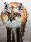 Fox in snow (Watercolour and pastels)<br />12x10