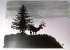 Stag Under a Full Moon  (Watercolour )