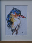 King Fisher (Watercolour)