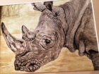 Ryan&#039;s Rhino (Watercolour and pastels)