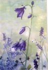 Spring Purples (Watercolour)<br />10x8